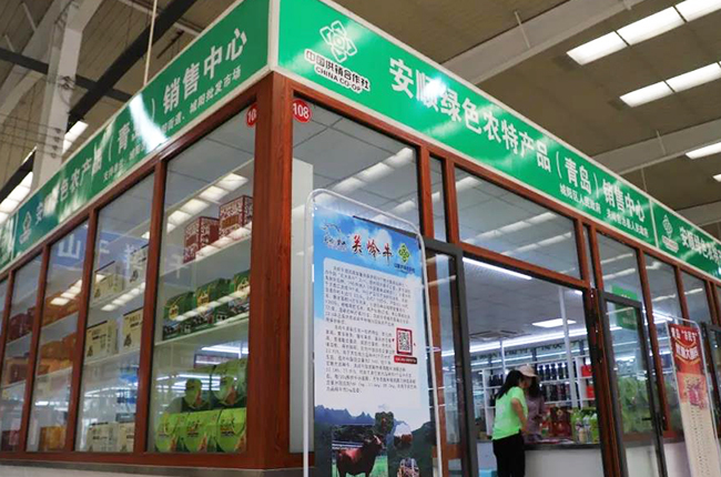 跨越千里山海情 对口帮扶结硕果——青岛与安顺持续深化东西部扶贫协作综述