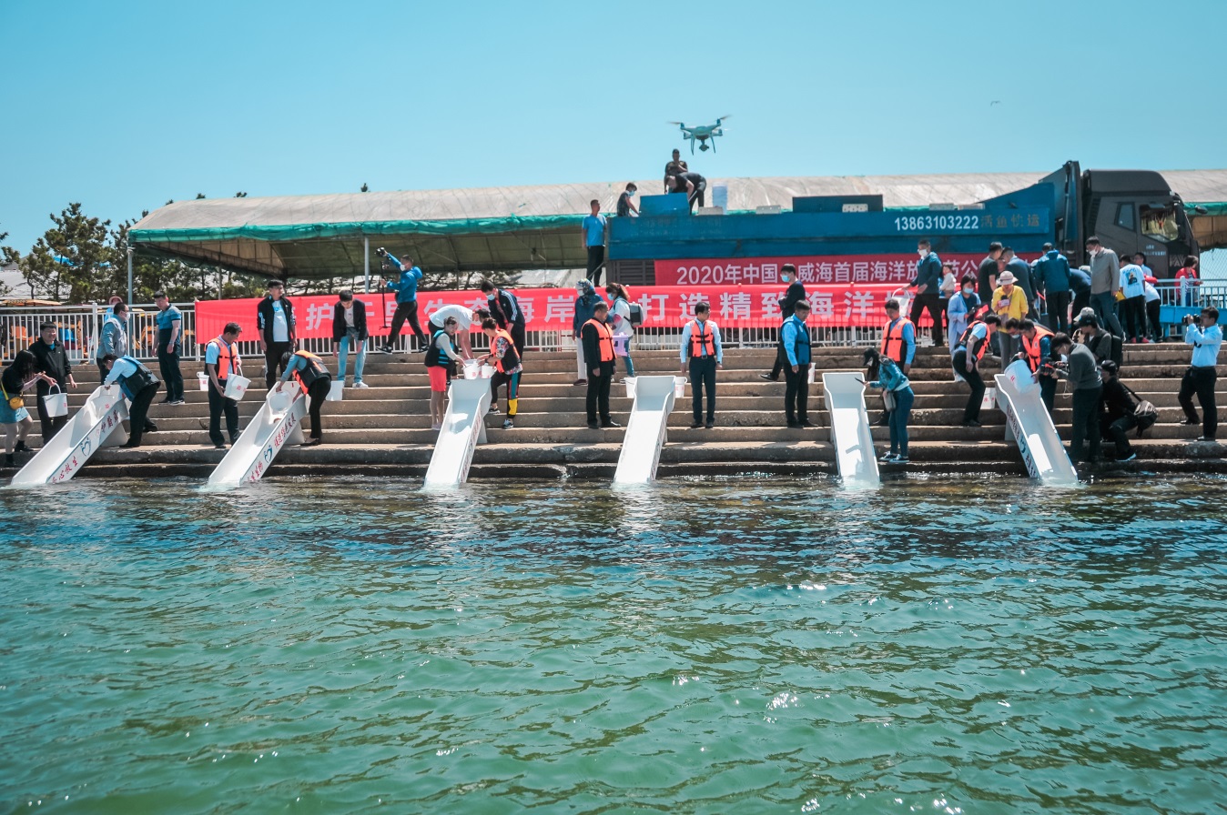 “精致城市 幸福威海”2020中国·威海首届海洋放鱼节公益活动启动