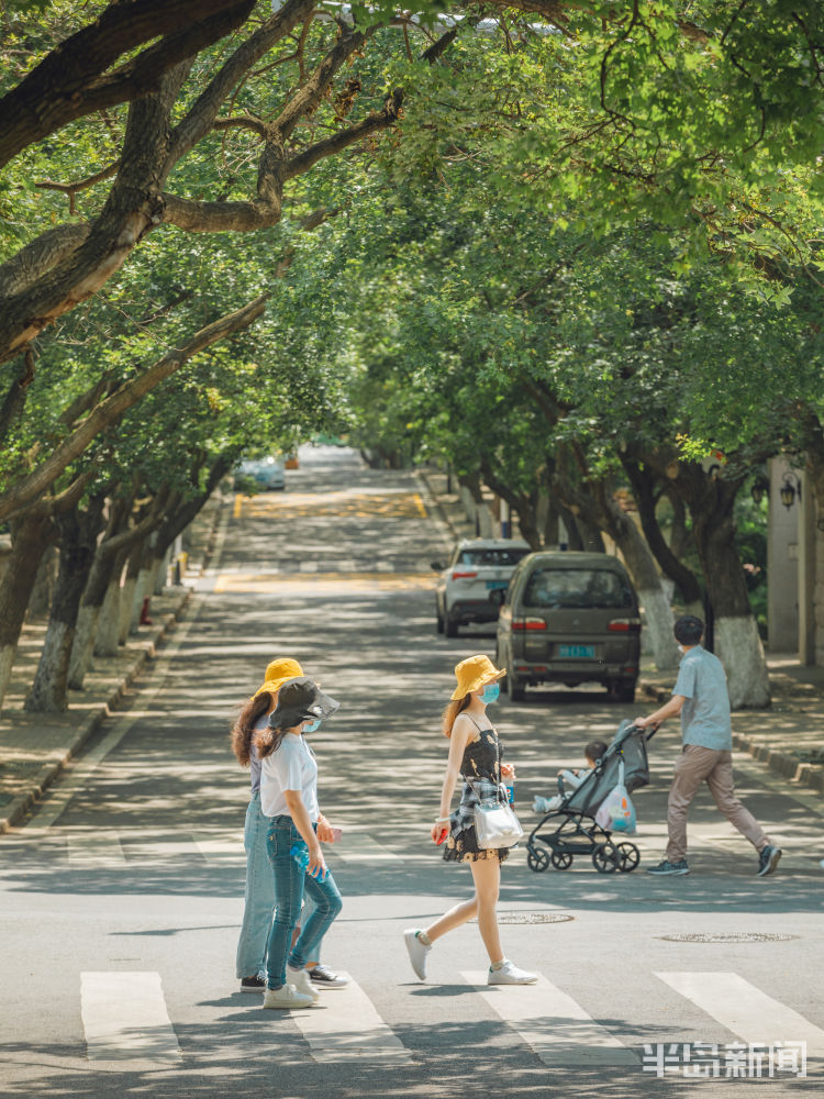 八大关夏日八大关 周末好风光