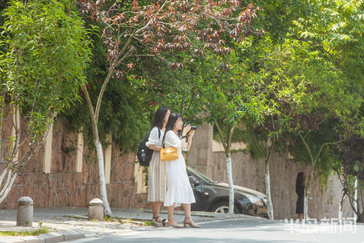 八大关夏日八大关 周末好风光