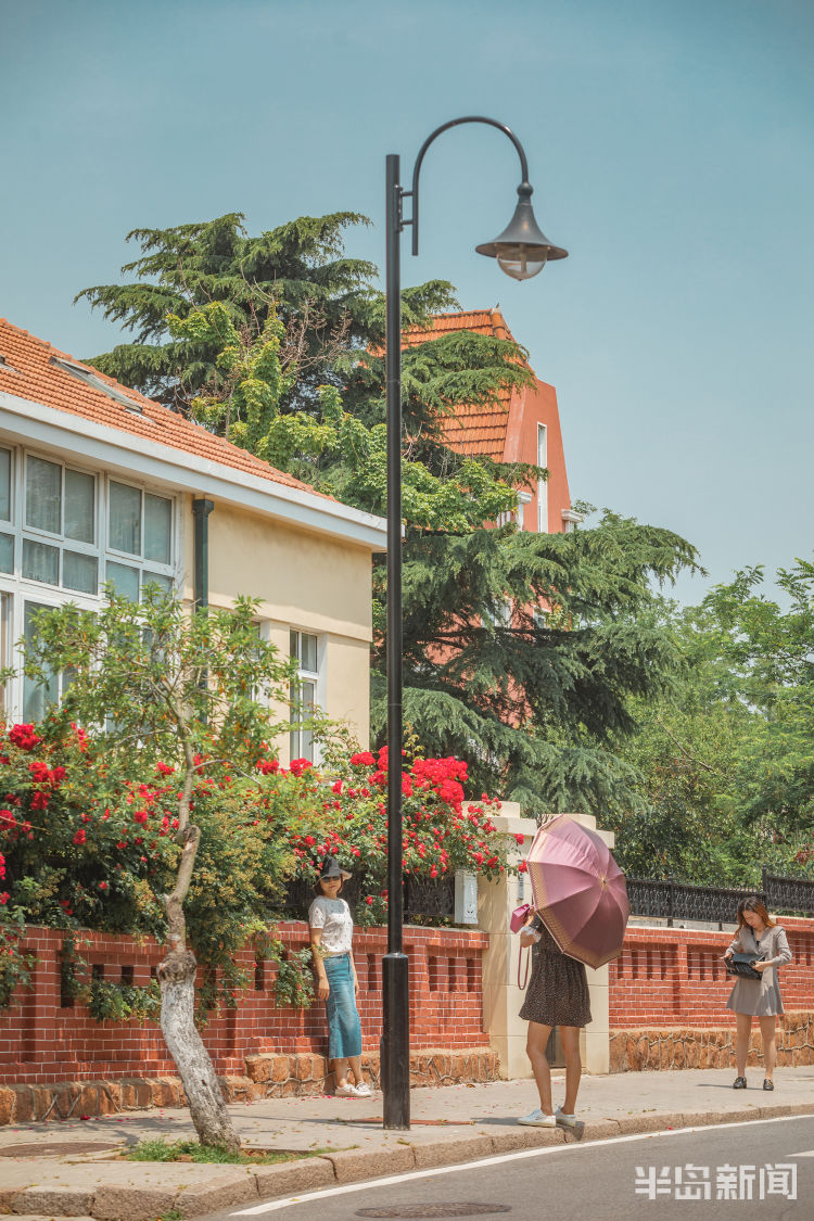 八大关夏日八大关 周末好风光