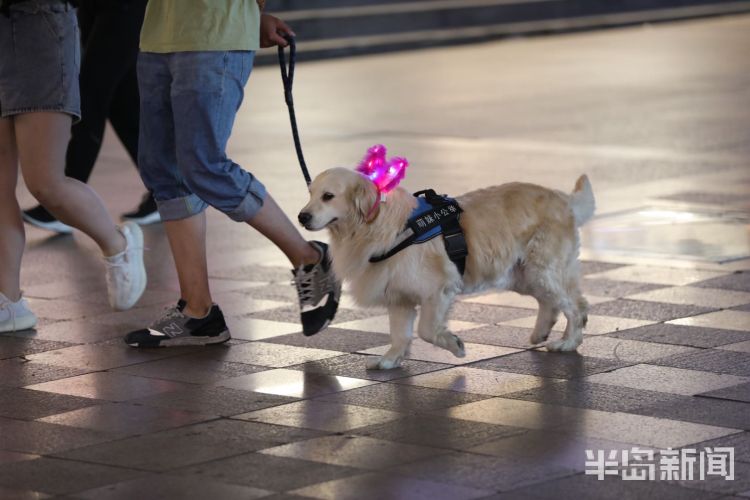 逛街台东三路步行街：市民饭后感受惬意夜生活