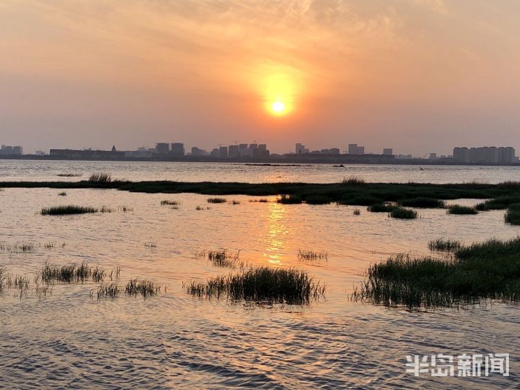 落日余晖青岛胶州湾国家级海洋公园：落日余晖 晚霞醉人