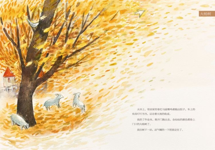 书单原创绘本“大自然的邀请函”入选“中国出版协会儿童阅读好书榜 生命教育主题”书单