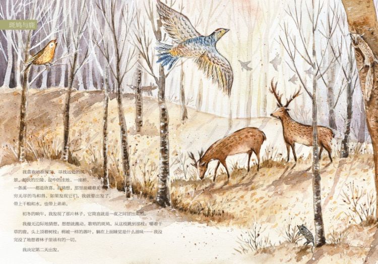 书单原创绘本“大自然的邀请函”入选“中国出版协会儿童阅读好书榜 生命教育主题”书单