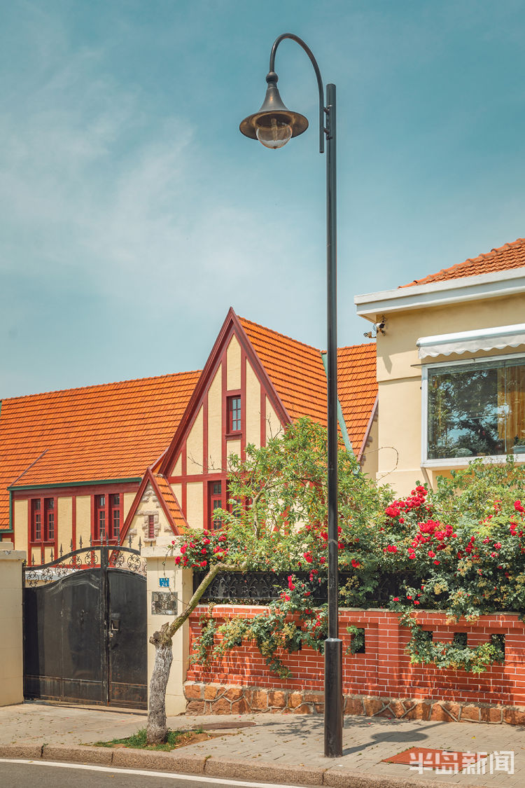 韶关青岛八大关韶关路的夏天：环境优美 安静温馨