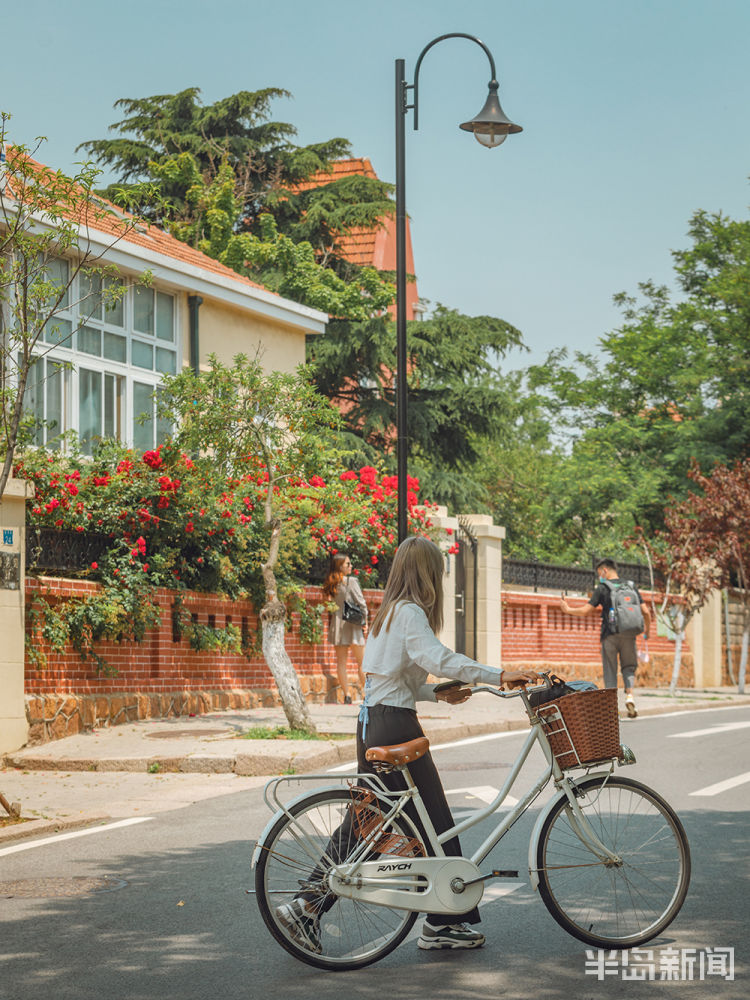 韶关青岛八大关韶关路的夏天：环境优美 安静温馨