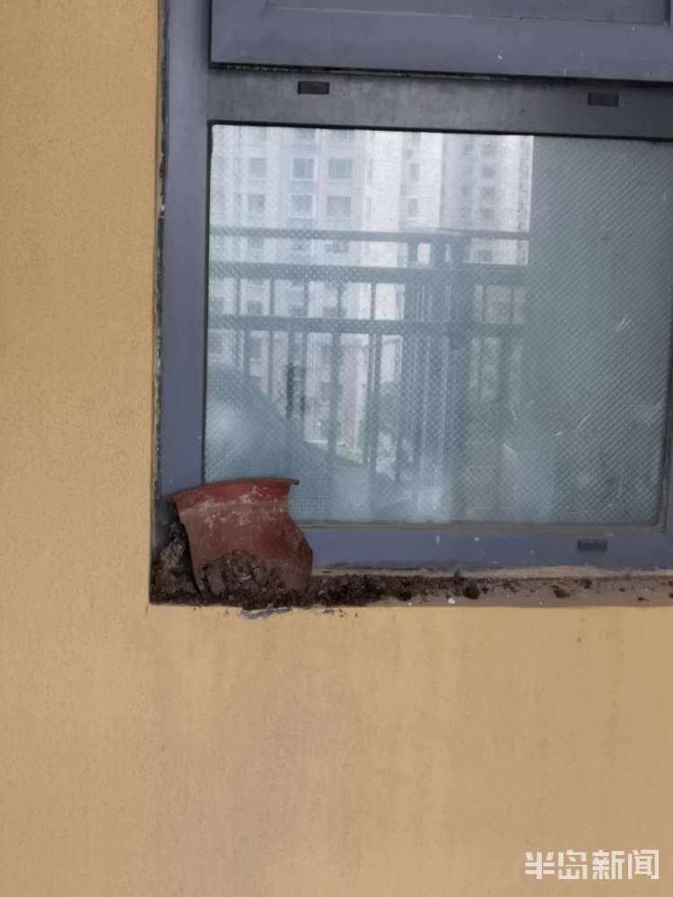 抛物青岛又见高空抛物 崂山东城国际小区业主险被花盆砸身上