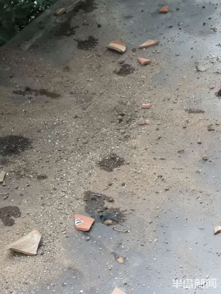 抛物青岛又见高空抛物 崂山东城国际小区业主险被花盆砸身上