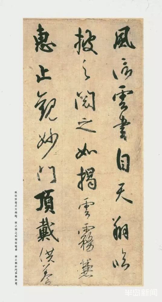 一鸟青岛候鸟传｜三宝之声闻一鸟 见到这种鸟的人吉祥