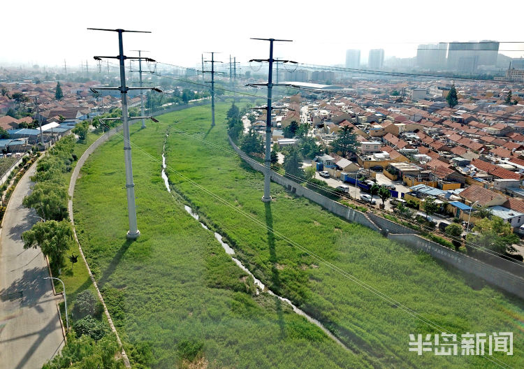 张村河崂山的母亲河——生态张村河