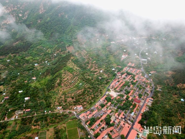 雨雾崂山区北宅街道：雨雾升腾 环绕青山