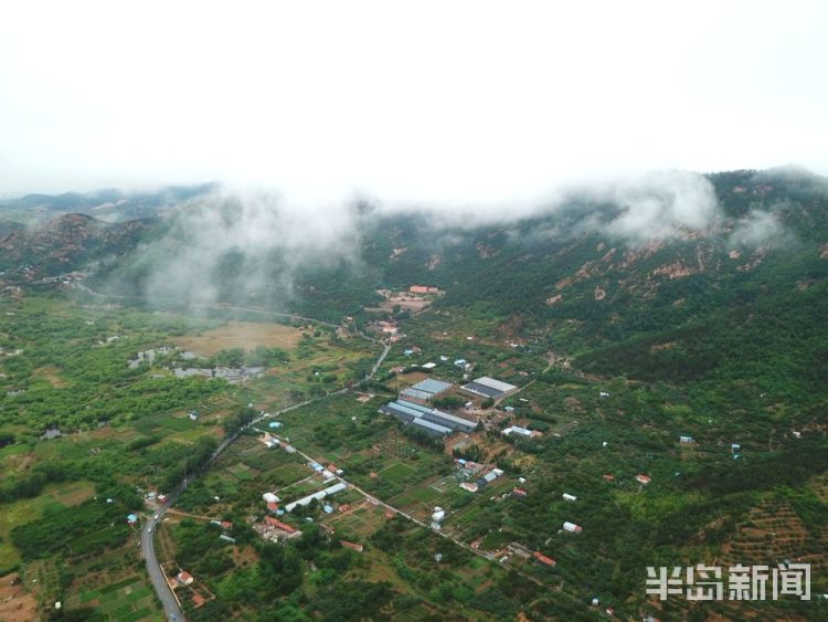 雨雾崂山区北宅街道：雨雾升腾 环绕青山