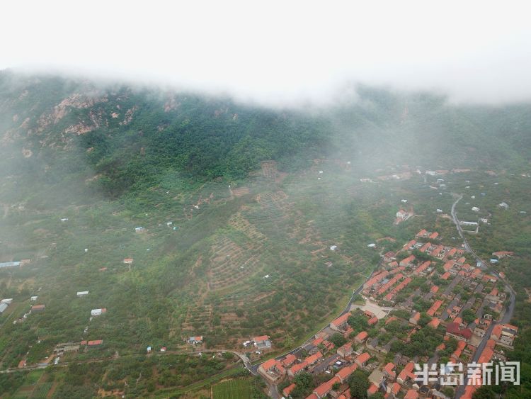 雨雾崂山区北宅街道：雨雾升腾 环绕青山