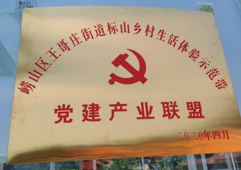 王哥庄【文明实践 德耀崂山】王哥庄街道加快推进标山田园综合体建设，打造山美、水美、村居美的新面貌