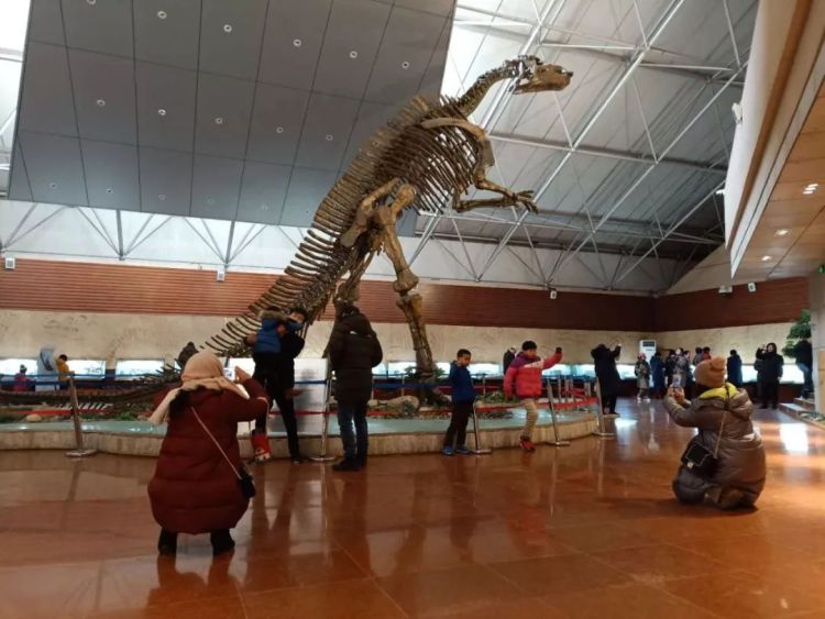 一家亲“胶东一家亲 邀您来潍坊”文化旅游推介会青岛举行