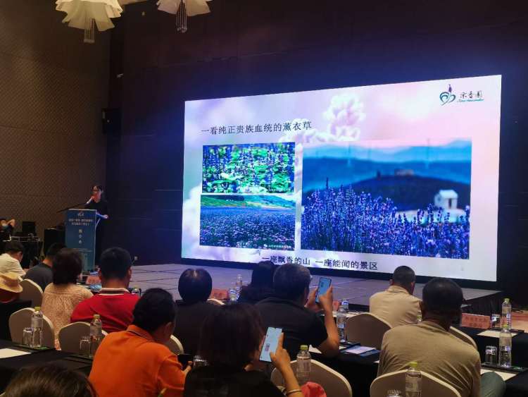 一家亲“胶东一家亲 邀您来潍坊”文化旅游推介会青岛举行