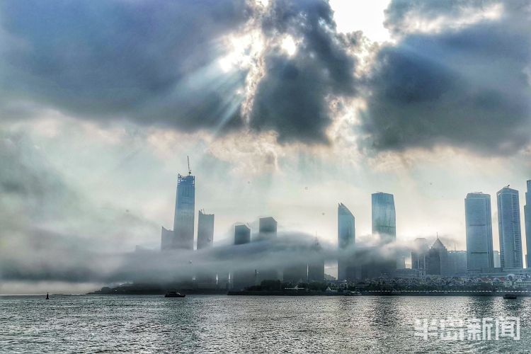 此景雾气飘进市南沿海林立的高楼中 层叠隐现场面震撼
