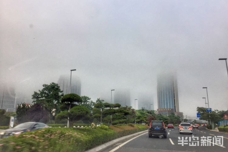 此景雾气飘进市南沿海林立的高楼中 层叠隐现场面震撼