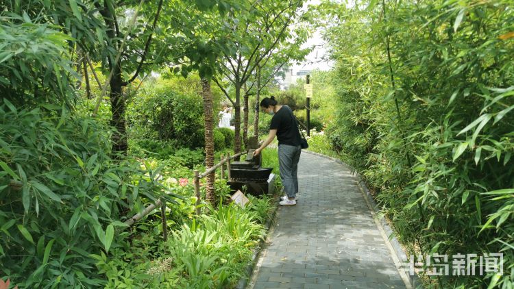市北区青岛市北区老企业文化记忆主题公园正式开园 漫步中式园林找寻老品牌印迹