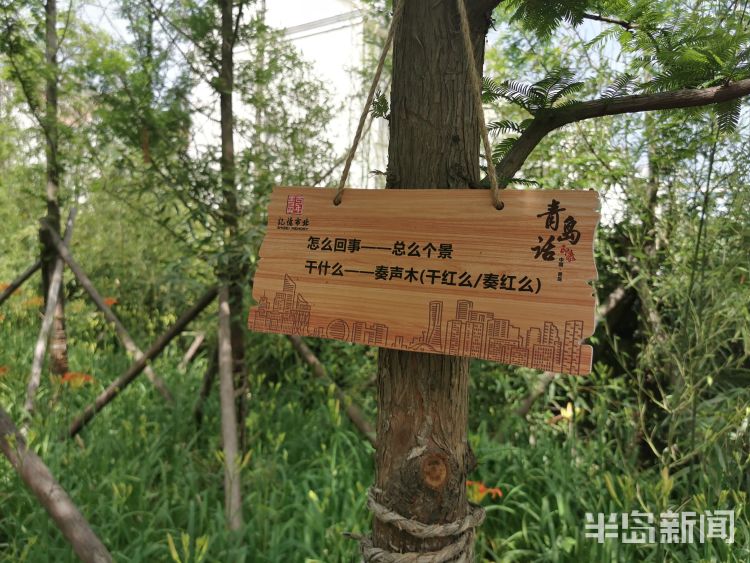 市北区青岛市北区老企业文化记忆主题公园正式开园 漫步中式园林找寻老品牌印迹