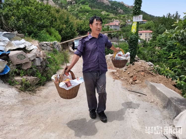 我乐红杏崂山区北宅街道我乐社区：红杏正当红 持续吃到七月中旬