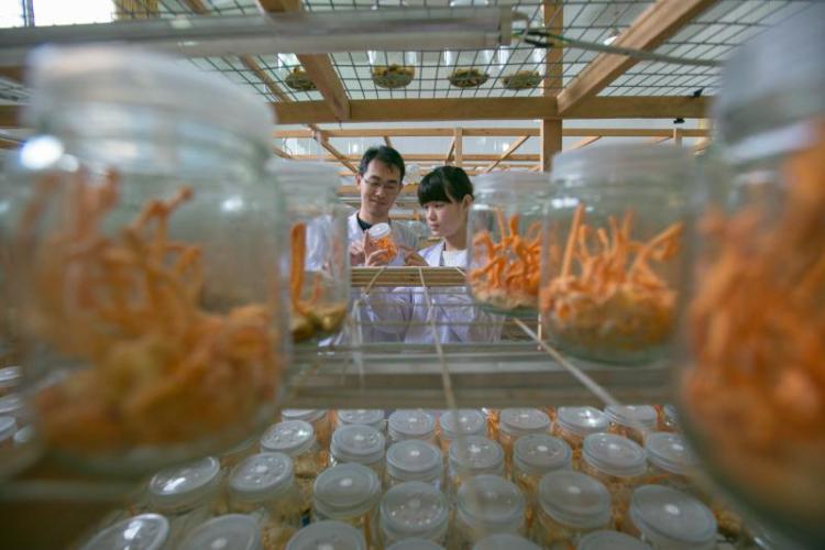 轻工山东省轻工工程学校等你来 2020年招生计划请收好