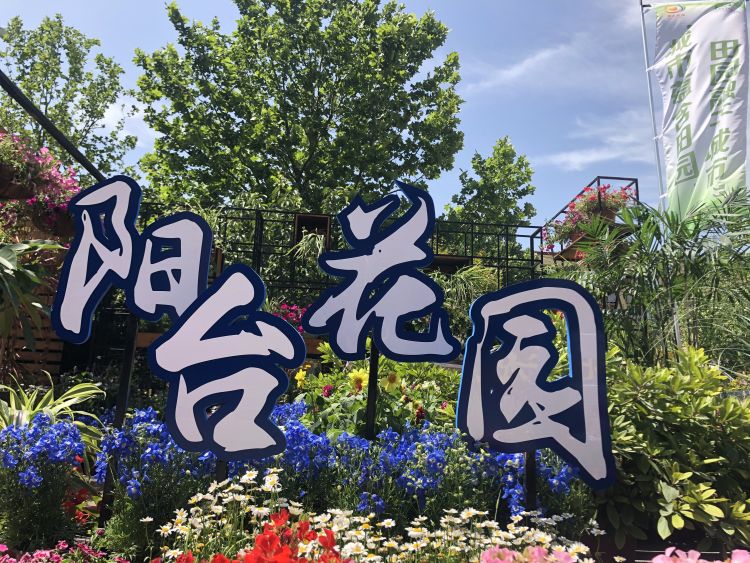 阳台阳台分分钟变果园 城阳区阳台农业成果展开幕