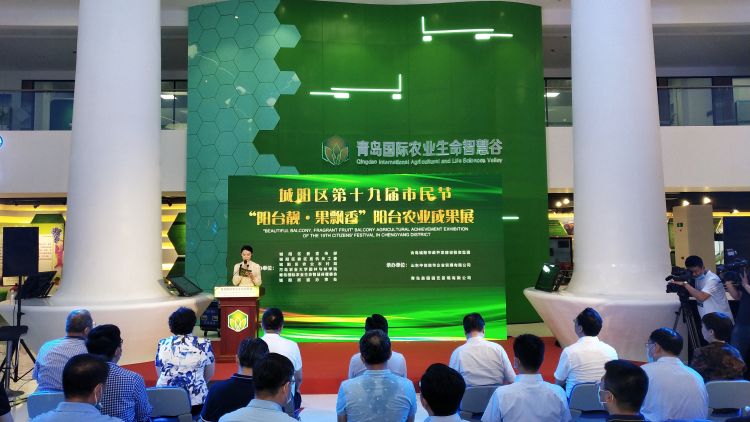 阳台阳台分分钟变果园 城阳区阳台农业成果展开幕