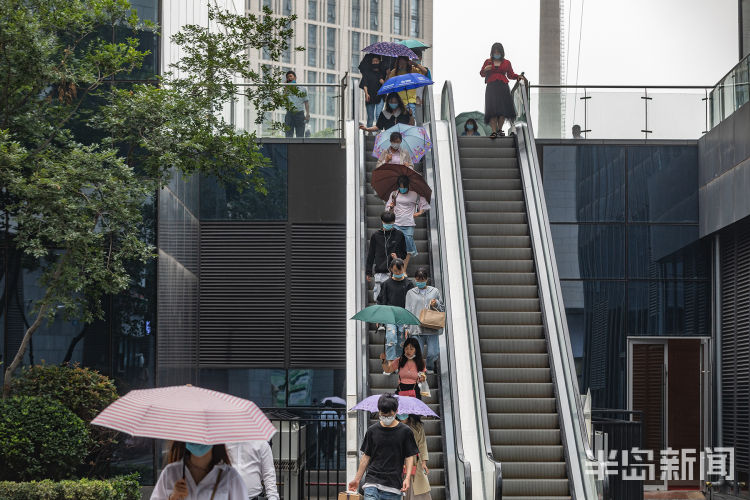 冒雨6月12日青岛飘起阵阵小雨 上班的人们匆匆走在雨中