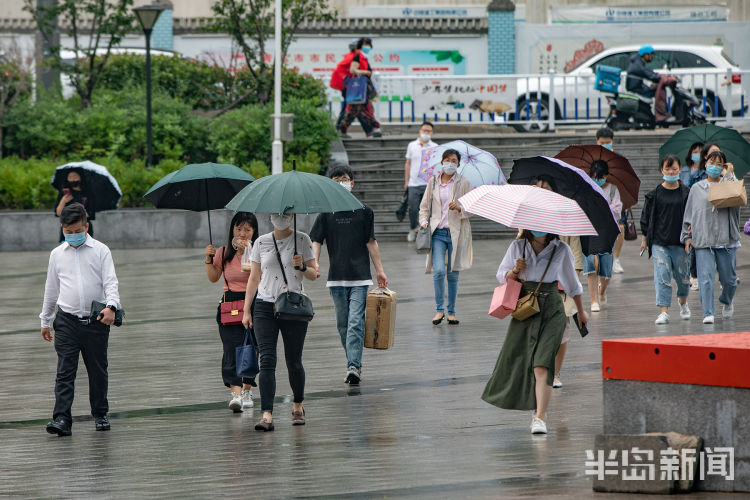 冒雨6月12日青岛飘起阵阵小雨 上班的人们匆匆走在雨中