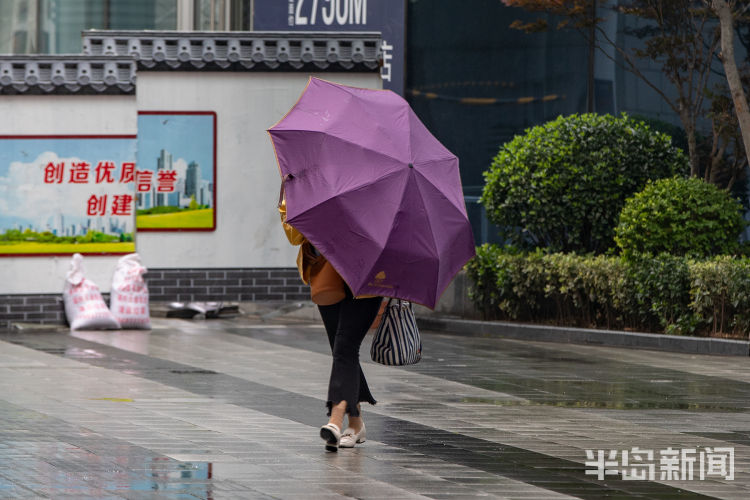 冒雨6月12日青岛飘起阵阵小雨 上班的人们匆匆走在雨中