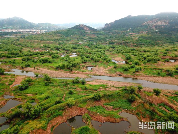 水库云雾笼罩下的崂山水库周边 植被郁郁葱葱生机无限