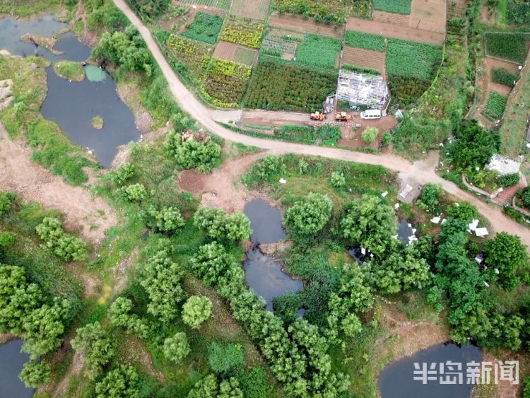 水库云雾笼罩下的崂山水库周边 植被郁郁葱葱生机无限