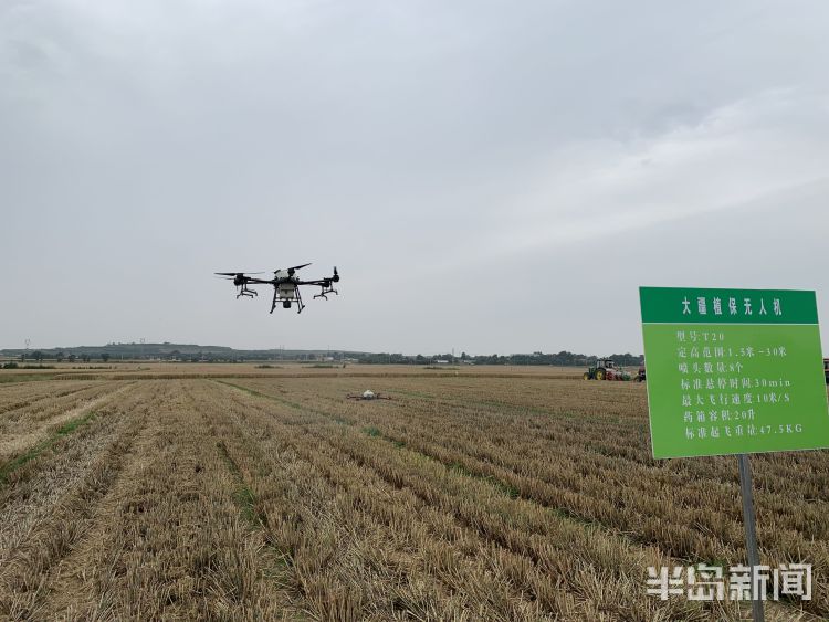 赋能“智慧农机”赋能 丰收在望！青岛全市已收割小麦13.41万亩