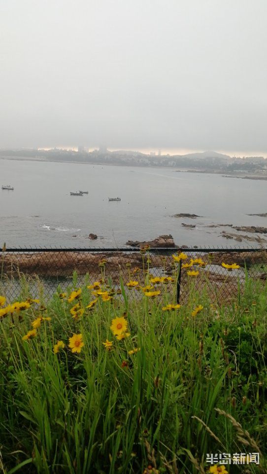 之美青岛暮色之美：雾从海上来 前海一线如梦似幻