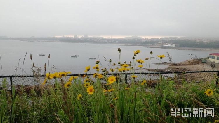 之美青岛暮色之美：雾从海上来 前海一线如梦似幻