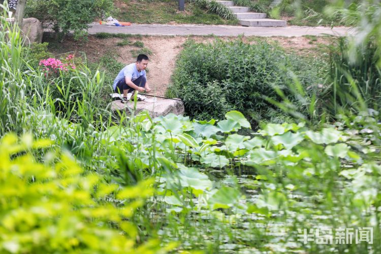 30气温30℃ 青岛市民户外乘凉享夏日惬意