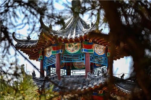 市北玩在市北：北岭山、贮水山儿童公园等最美山头公园等您来