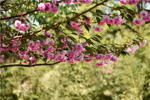 市北玩在市北：北岭山、贮水山儿童公园等最美山头公园等您来
