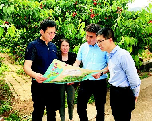 樱珠3秒销售3000斤 主播助农带货活动开启樱珠销售新模式