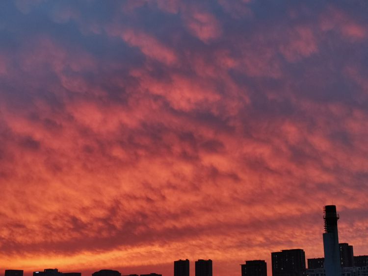 6月15日傍晚青岛迎来红彤彤的晚霞吸引不少市民拍照