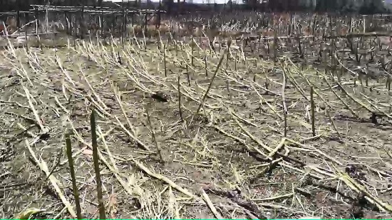 浙江温岭槽罐车爆炸惊魂三分钟 火海中村民用绳子救出十几名厂工