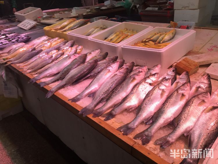 岛城青岛水产品交易“遇冷” 部分进口水产停售 市场监管部门严查进货来源