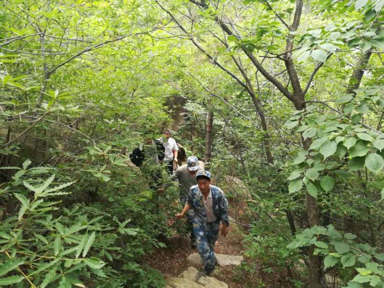 多措崂山风景区自然资源保护整治行动：劝返进非游览区游客近百名