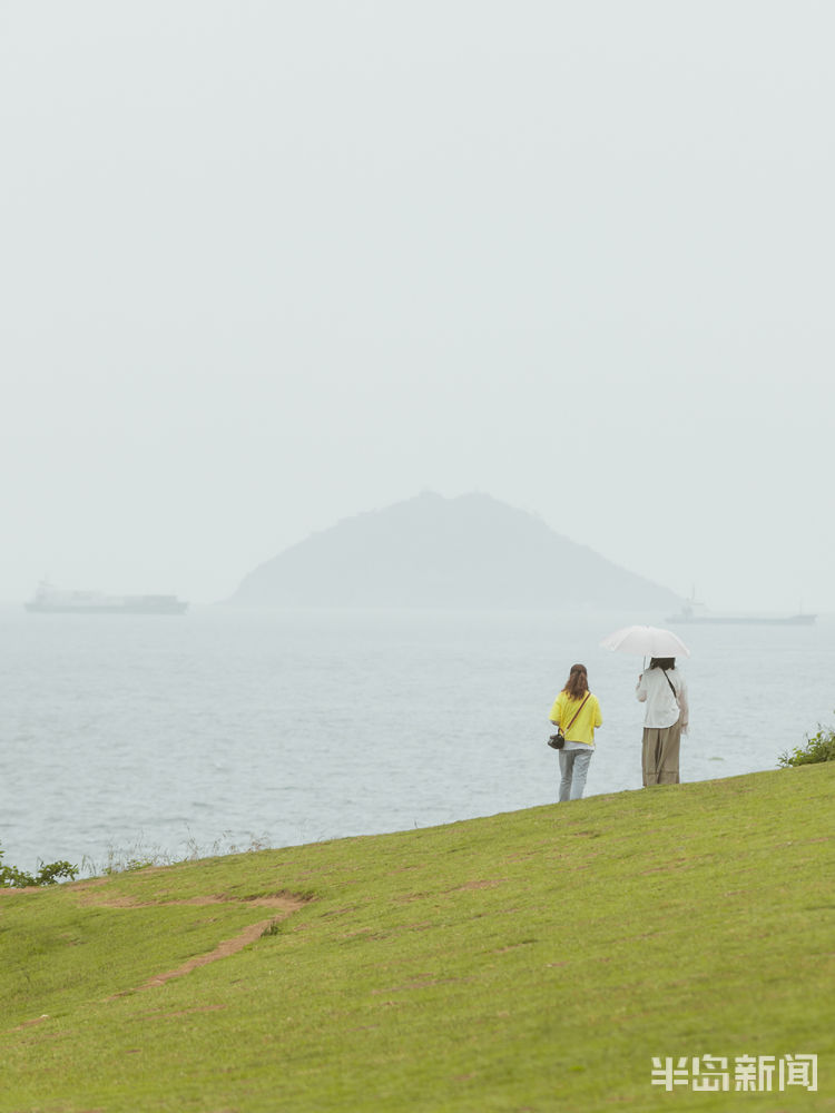 青青初夏的小麦岛：海岛青青