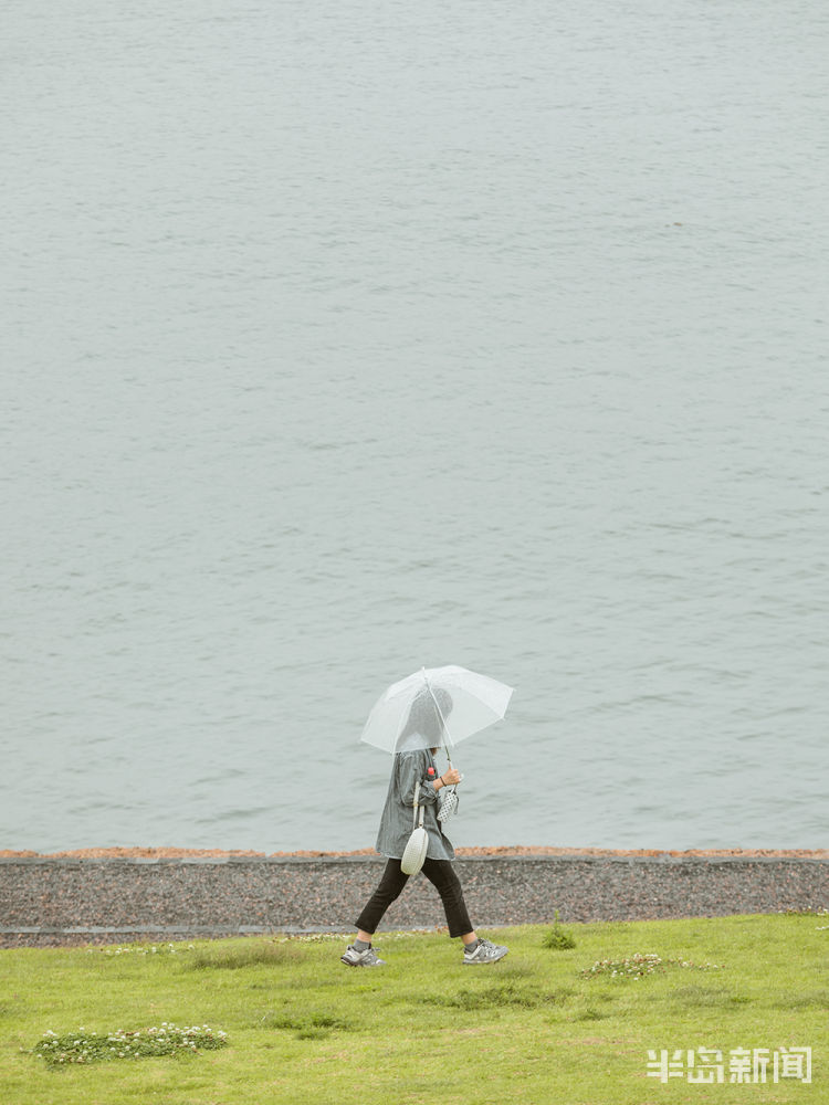 青青初夏的小麦岛：海岛青青