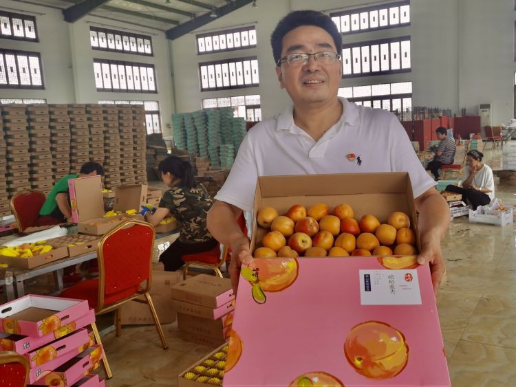 卖不掉社区书记朋友圈里刷出卖杏“捷径” 城阳蜜杏触“电”全国“圈粉”