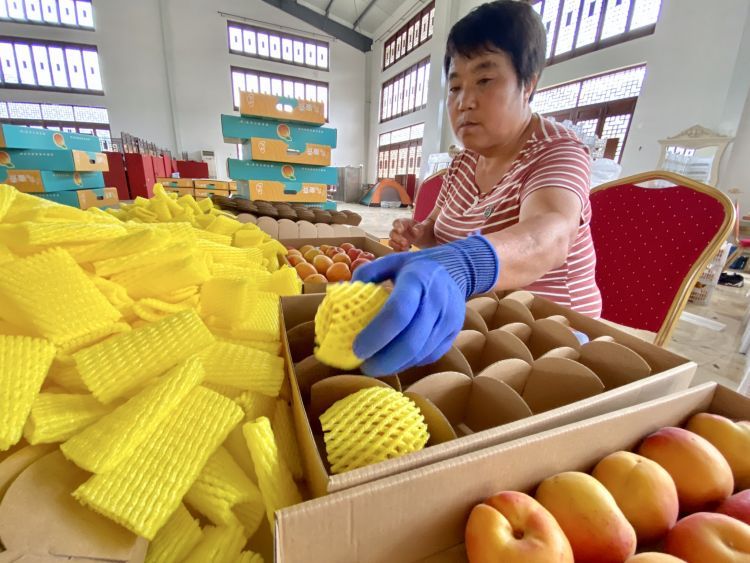 卖不掉社区书记朋友圈里刷出卖杏“捷径” 城阳蜜杏触“电”全国“圈粉”