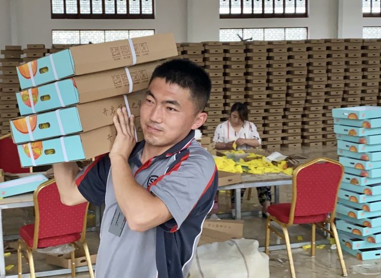 卖不掉社区书记朋友圈里刷出卖杏“捷径” 城阳蜜杏触“电”全国“圈粉”